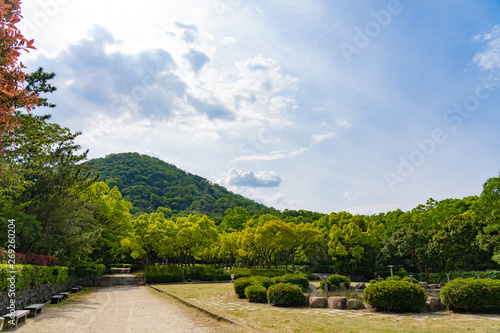 甲山森林公園の自然風景 Wall Mural Wallpaper Murals Yoshihiro 甲山森林公園の自然風景 Wall Mural Wallpaper Murals Yoshihiro