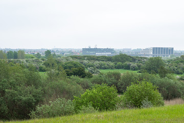 view of the city