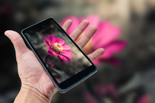 Mobile photography concept. hand holding smartphone and taking photo