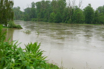 Donau überflutung Wasser Regen
