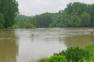 Donau Überflutung