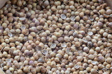 close up of pile Coriander seeds on wooden bowl
