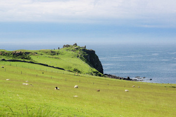 Isle of Skye ruins and sheep