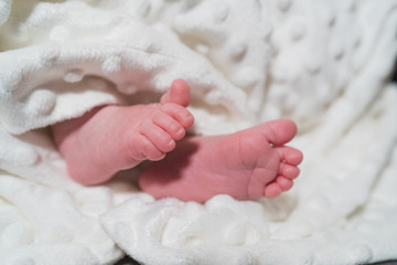 New Born Baby Small Feet on White Blanket. Family, new life, childhood, beginning concept.