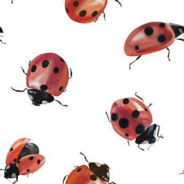 Seamless pattern with ladybug in watercolor. Ladybug for design. Ladybugs isolated on white background. Watercolor painting.