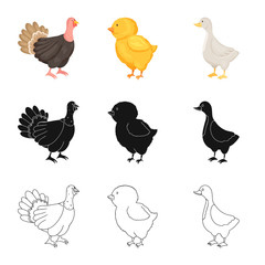 Vector design of breeding and kitchen  icon. Set of breeding and organic  stock symbol for web.