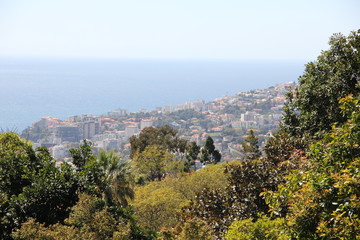 Fototapeta na wymiar Botanical Garden Madeira