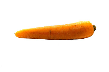 Carrot