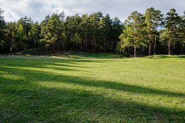 Obraz premium Sunny valley with shade and light from the trees around it in summer time. Nobody in forest sunny valley