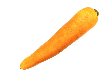 Carrot isolated on white background
