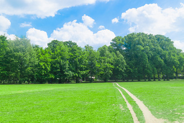 Fototapeta na wymiar Park in Gelderland, the Netherland