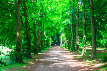 Park in Gelderland, the Netherland