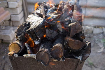 burning logs in the iron grill