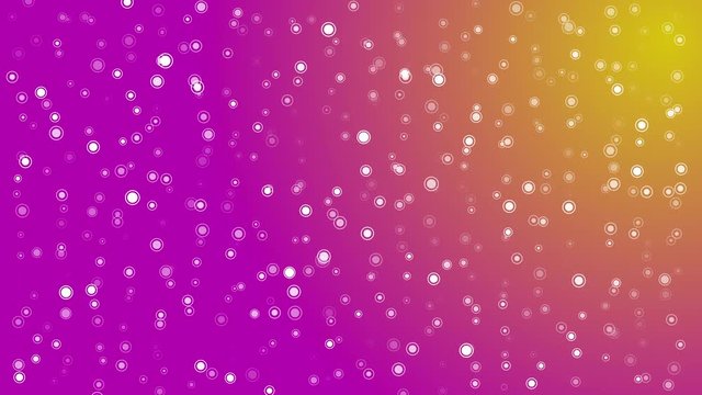 Circle particles float on pink and yellow background, Animation Loop