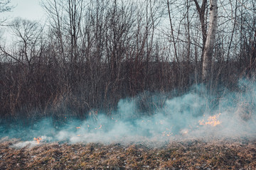 Fungal grass and smoke that spreads through the earth are very dangerous to human health