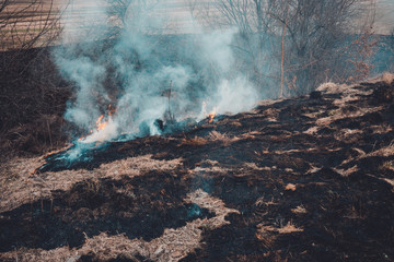 Black spots and smoke from burnt dry grass are environmentally hazardous