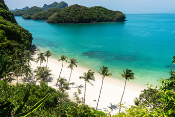 Schöner Strand auf tropischer Insel mit Palmen