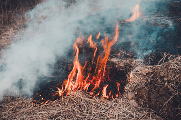 Fungal grass and smoke that spreads through the earth are very dangerous to human health