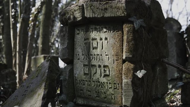 Horizontal camera slide on old jewish cemetery located in the city of Czestochowa in Poland with destroyed matzevah