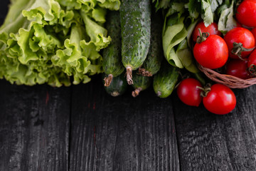 new crop of vegetables grown in the open air