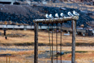 The sudden abandoned russian mining town Pyramiden. coal mine al