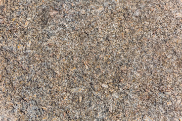 Detailed view of the typical texture of the granite stone