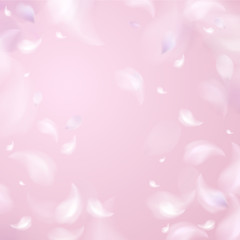 Soft spring background with purple blurred flower petals