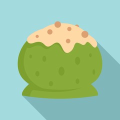 Matcha ice ball icon. Flat illustration of matcha ice ball vector icon for web design