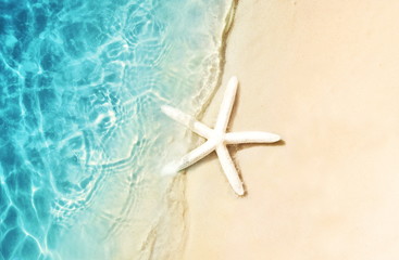 Fototapeta na wymiar Starfish on the summer beach. Summer background. Tropical sand beach