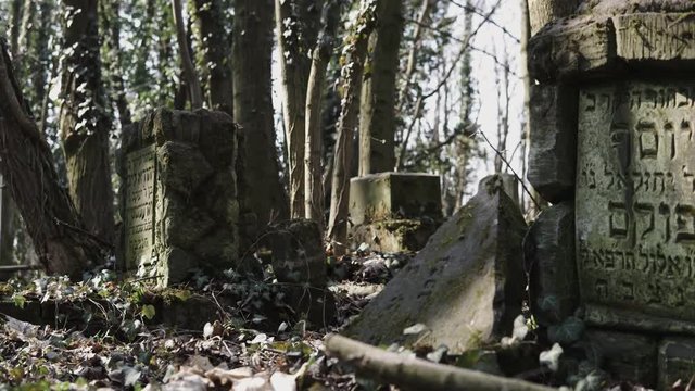 Horizontal camera slide on old jewish cemetery located in the city of Czestochowa in Poland with destroyed matzevah