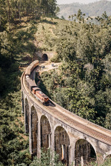 Blue train goes through jungle. Nine arch bridge, Demodara, Sri Lanka. Old bridge in Ceylon. Nine...