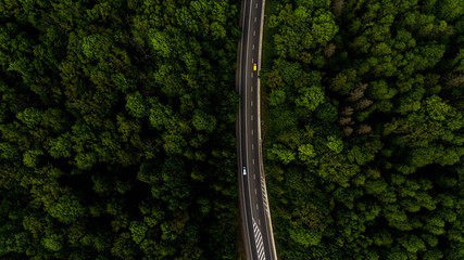 The road artery leads through the forest