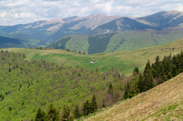 View from the Baiului Mountains or Garbova Mountains - Bucegi Mountains, Carpathian Mountains, Prahova, Romania
