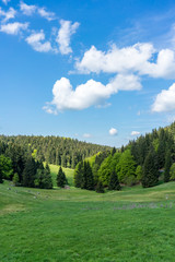Fototapeta na wymiar Thuringian forest