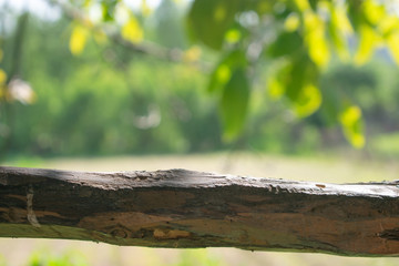 wooden table on blurred background of nature of forest and park