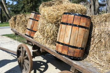Horse carriage with hay and barrels