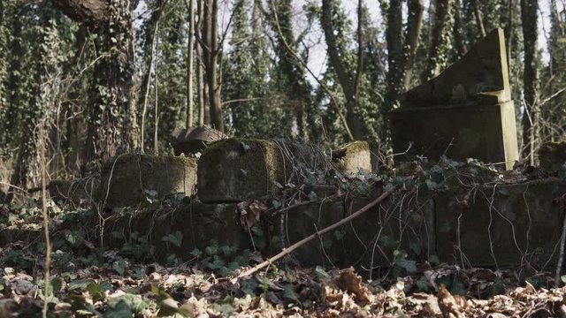 Horizontal camera slide on old jewish cemetery located in the city of Czestochowa in Poland with destroyed matzevah