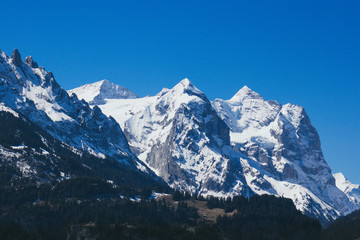 Swiss Alps in sunny day, view from Beatenberg