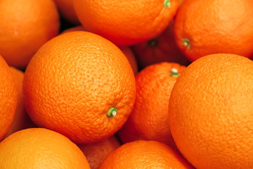 Fresh Orange Fruit close-up