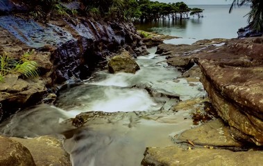 stream in the forest