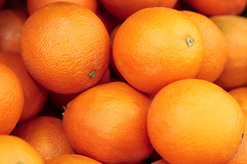 Fresh Orange Fruit close-up