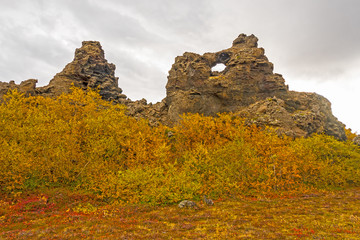 Fall Colors Amidst the Lava