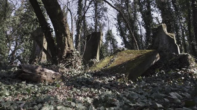 Horizontal camera slide on old jewish cemetery located in the city of Czestochowa in Poland with destroyed matzevah
