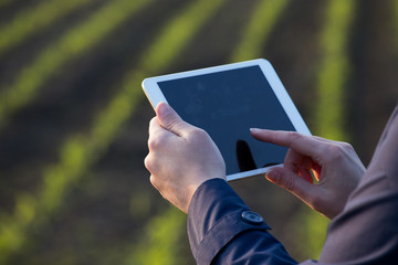 Farmer working on tablet in field