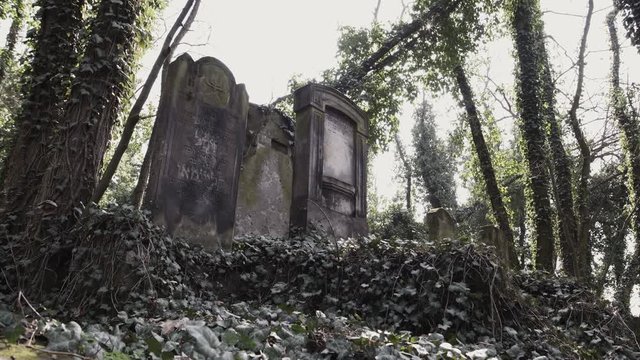 Horizontal camera slide on old jewish cemetery located in the city of Czestochowa in Poland with destroyed matzevah