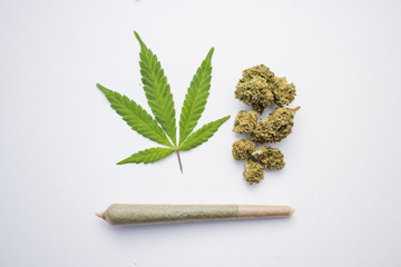 Cannabis leaf medical marijuana rolled joint isolated on white - obrazy, fototapety, plakaty