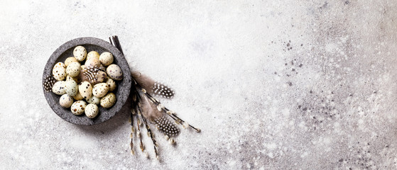 Easter holiday concept.Quail eggs in a plate on a gray background. Holiday decoration branches willow with pears.Copy space for Text.Banner..