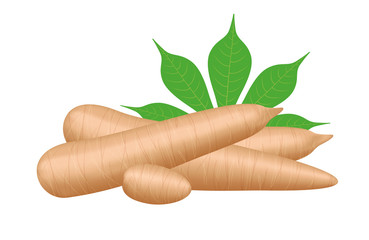 cassava fresh and leaf isolated on white background, raw cassava cut slice for tapioca flour industry or ethanol industry, pile yucca cassava tuber, raw manioc cassava in top view