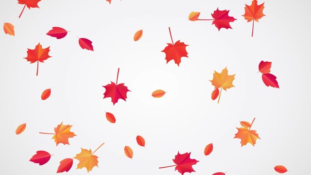 Falling Autumn Leaves animation.Looped 4k video, beautiful fall leaves move down under little wind. Autumnal mood. Can use this clip for background or overlays on your image, video project.