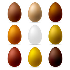 Set of realistic natural color chicken eggs isolated on white background.